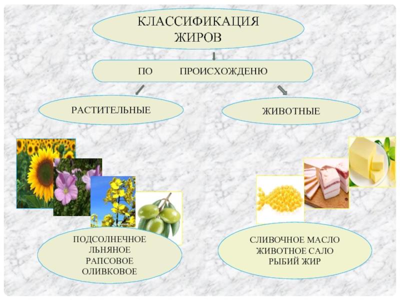 Виды растительных масел презентация