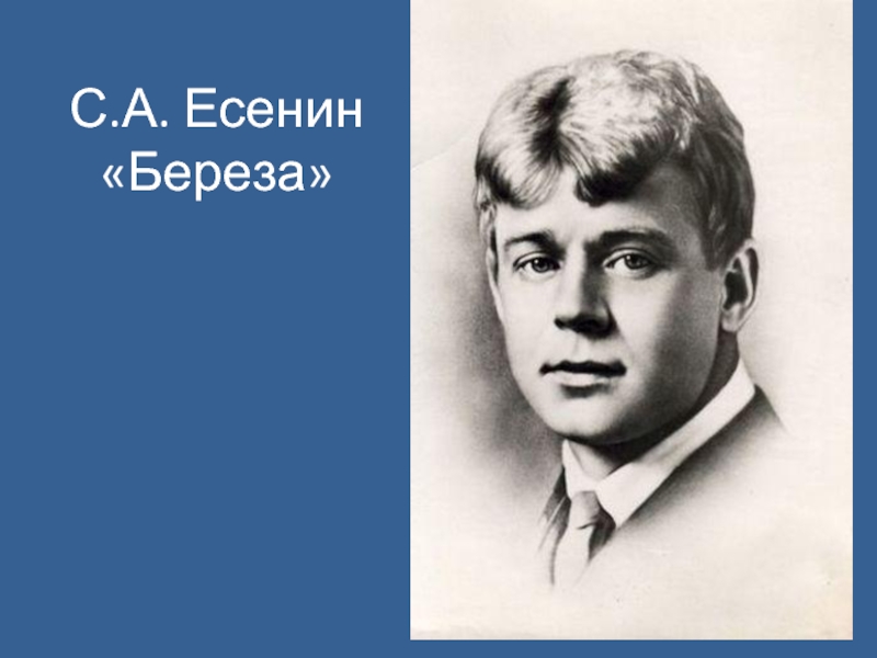 Ты прохладой меня не мучай. Есенин 1925. Сергея Александровича Есенина (1895–1925)..