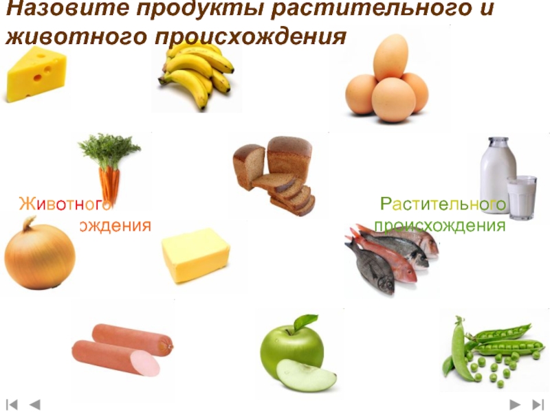 Назовите продукты. Продукты растительного происхождения. Пища растительного и животного происхождения. Растительное происхождение. Пиа животного и растительного происхождения.