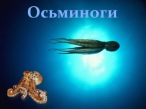 Осьминоги