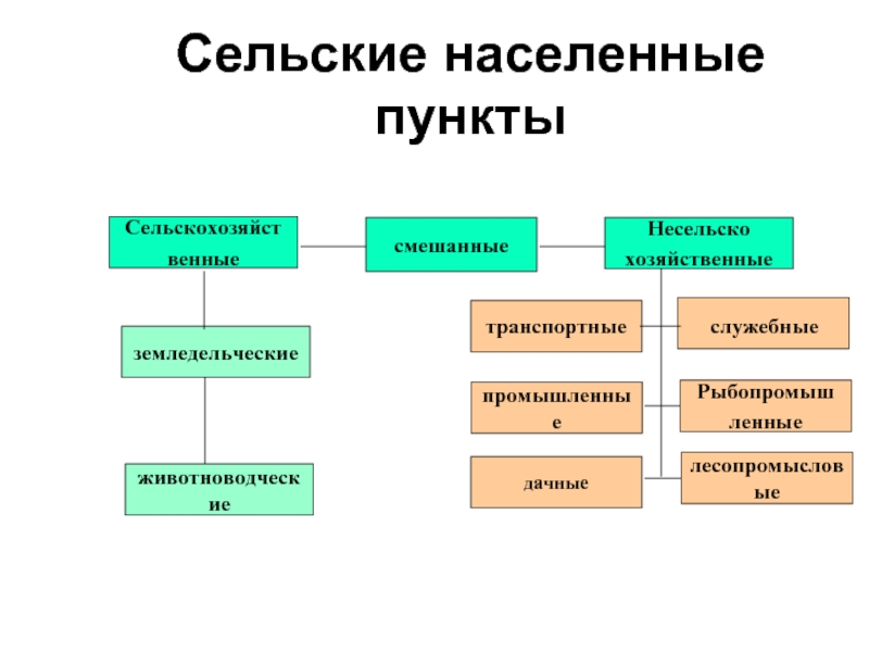 Функции сельских населенных пунктов схема