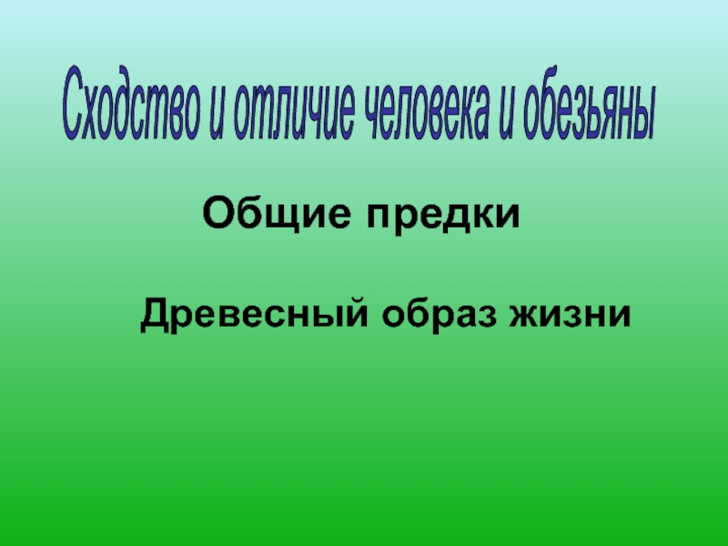 Древесный образ жизни. Наши предки - древесные жители.