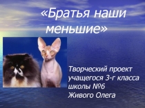 Творческий проект на тему Братья наши меньшие