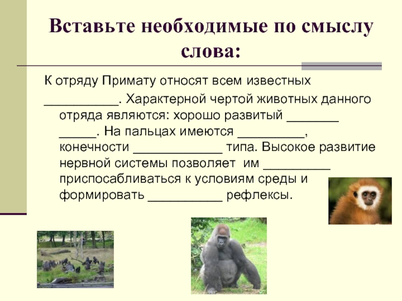 Презентация по биологии 7 класс значение млекопитающих в природе и жизни человека