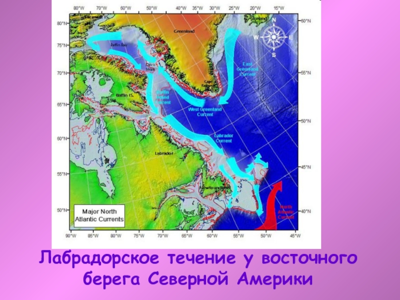 Карта течений северной америки