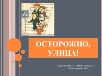 Безопасное поведение на дороге