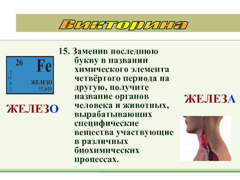 Первые и последние буквы. Заменив первую букву в названии химического элемента. Заменить последнюю букву. Органами называются химические. Вещества 7 букв.