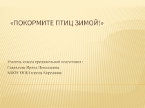 Покормите птиц зимой (3 класс)