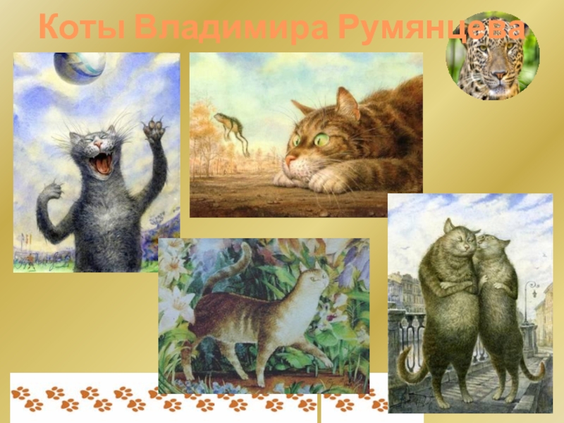Коты Владимира Румянцева