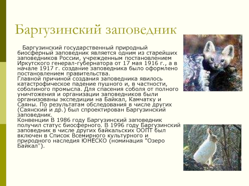 Баргузинский заповедникБаргузинский государственный природный биосферный заповедник является одним из старейших заповедников России, учрежденным постановлением Иркутского генерал-губернатора от