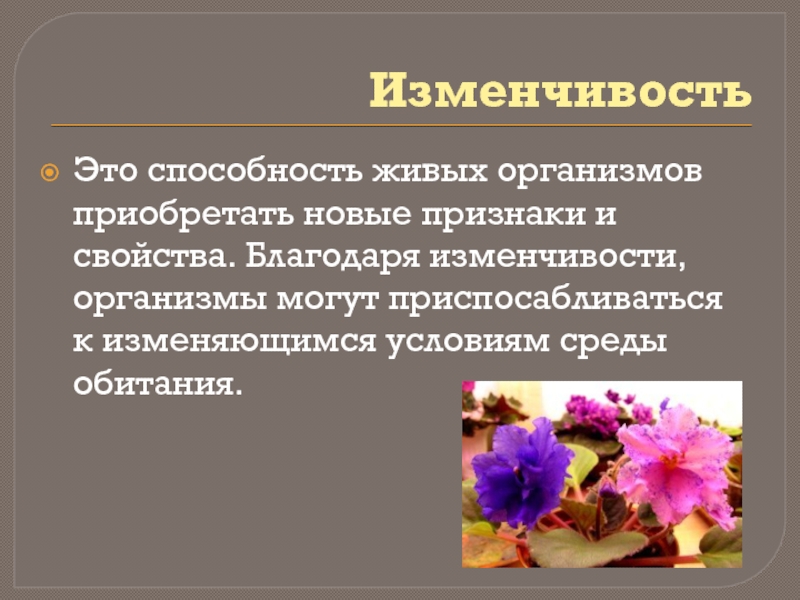 Изменчивость организмов. Изменчивость способность организмов приобретать новые признаки. Изменчивость это свойство живых организмов. Способность организма приобретать новые признаки. Способность живых организмов приобретать новые признаки и свойства.