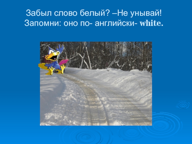 Забыл цвет. Слово белый. Забыл слово. Предложение со словом белоснежный. Предложения на слово белоснежный.