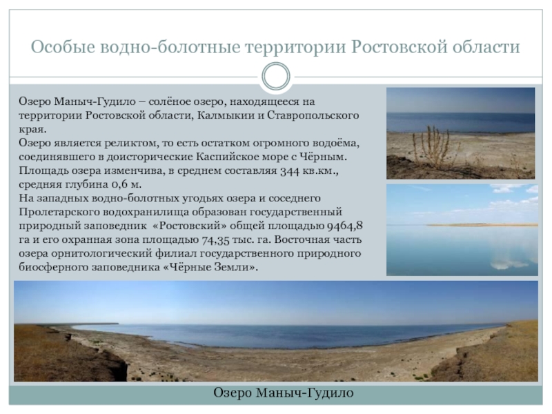 Особые водно-болотные территории Ростовской областиОзеро Маныч-ГудилоОзеро Маныч-Гудило – солёное озеро, находящееся на территории Ростовской области, Калмыкии и