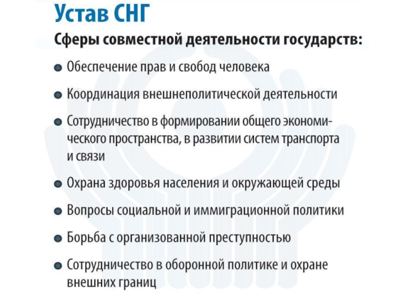 Согласно уставу. СНГ деятельность. СНГ направления деятельности. СНГ деятельность организации. Деятельность СНГ кратко.