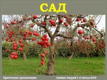 Сад (4 класс)