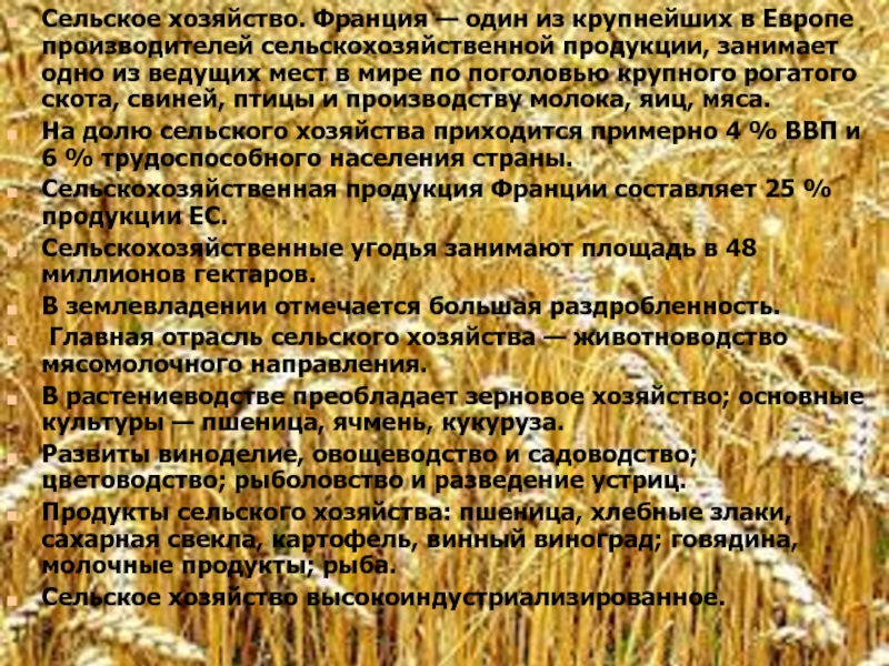 Сельское хозяйство Франции презентация. Характеристика сельского хозяйства Франции. Общая характеристика хозяйства Франции. Сельское хозяйство Франции кратко.