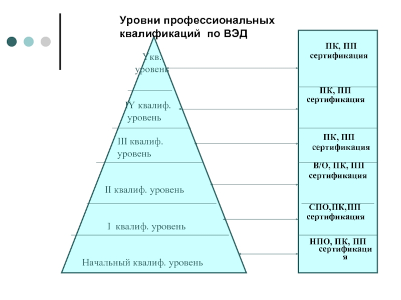 Уровни профессионального стандарта. Уровень профессиональной квалификации. Уровни профессионализма. Уровень квалификации професионал. Уровень квалификации 6 в профессиональном стандарте.