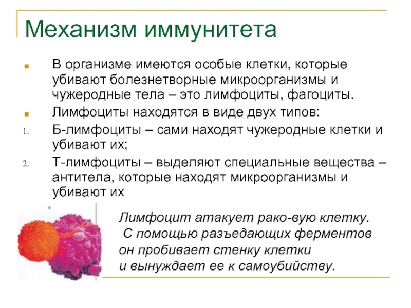 Роль иммунитета в жизни человека презентация