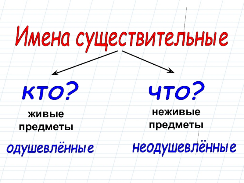 Одушевленные существительные. Одушевлённые и неодушевлённые имена существительные. Одушевленное и неодушевленное имя существительное. Неодушевленные имена существительные. Одушевлённые и неодушевлённые предметы.