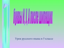Буквы У, И, А после шипящих (5 класс)