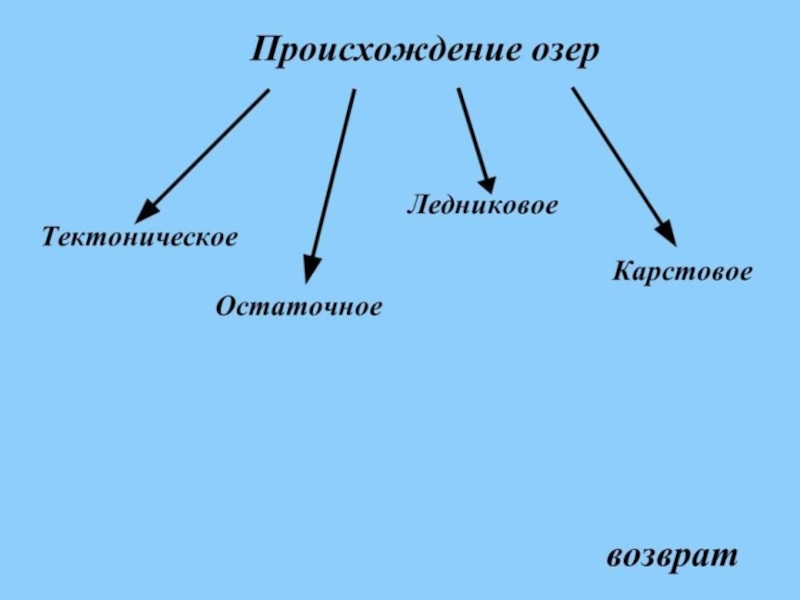 Презентация на тему экосистема озера