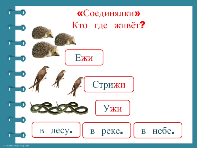 Слова с жи 1 класс. Составить предложение кто где живет ужи где живут. Кто где живет Ежи мыши ужи Ерши. Составить предложение о том кто где живет. Где живут Ежи и ужи.