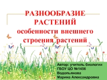 Разнообразие растений: особенности внешнего строения