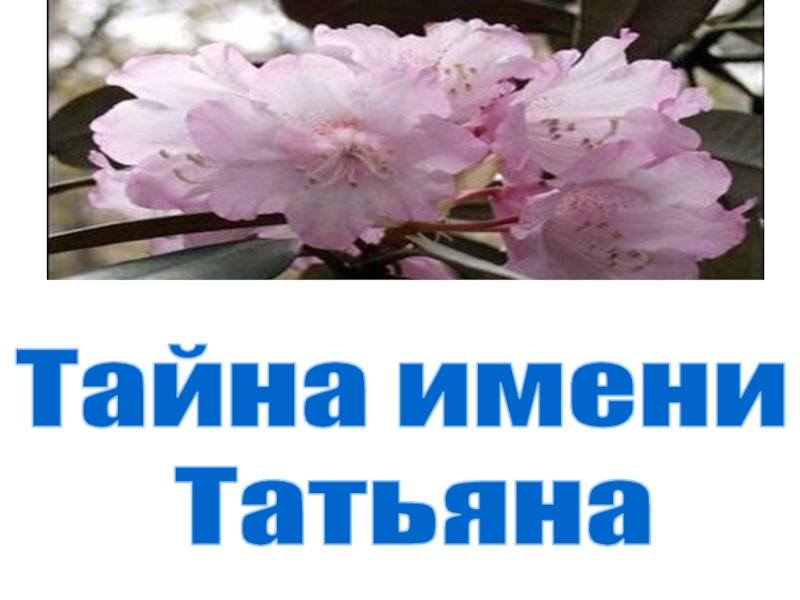 Как переводится имя таня. Тайна имени Татьяна. Проект тайна имени Татьяна. Имя Татьяна. Презентация имя Татьяна.