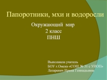 Папоротники, мхи и водоросли (2 класс)