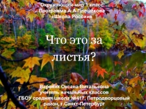 Что это за листья