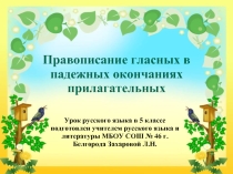 Правописание гласных в падежных окончаниях прилагательных