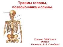 Травмы головы, позвоночника и спины