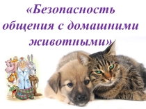 Безопасность общения с домашними животными
