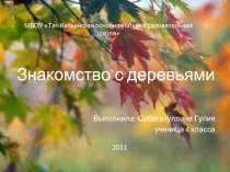 Знакомство с деревьями