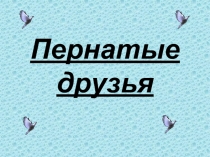 Пернатые друзья (2 класс)