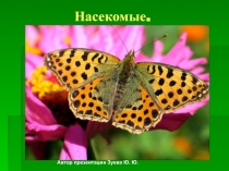 Насекомое 