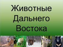 Животные Дальнего Востока