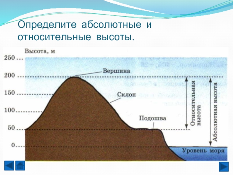 Определите максимальную и минимальную абсолютные высоты подписанные на плане проведите между ними