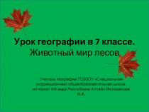 Урок географии в 7 классе. Животный мир лесов