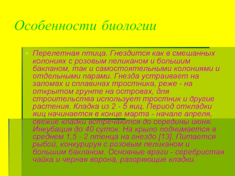 Биологические особенности птиц. Особенности биологии. Смешанные колонии. Растения пионеры биологические особенности. Биологические особенности это в биологии.