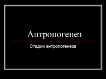 Антропогенез  Стадии антропогенеза