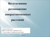 Вегетативное размножение покрытосеменных растений