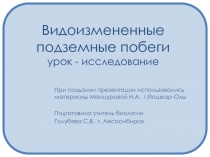 Видоизмененные подземные побеги урок - исследование 