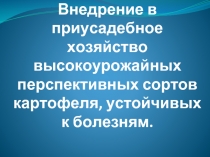 Внедрение в приусадебное хозяйство высокоурожайных перспективных сортов картофеля, устойчивых к болезням