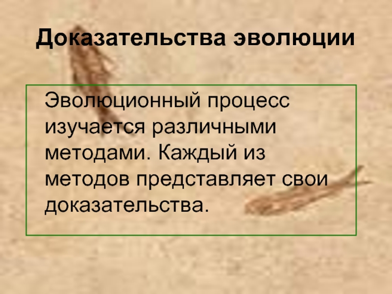 Доказательства эволюции 11 класс