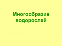 Многообразие водорослей