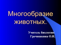 Многообразие животных