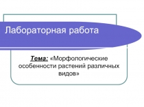 Морфологические особенности растений различных видов