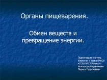 Органы пищеварения.  Обмен веществ и превращение энергии