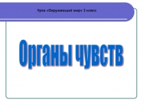 Органы чувств 